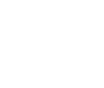 The Wild Oasis logo